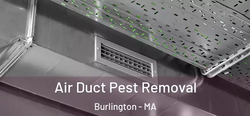  Air Duct Pest Removal Burlington - MA