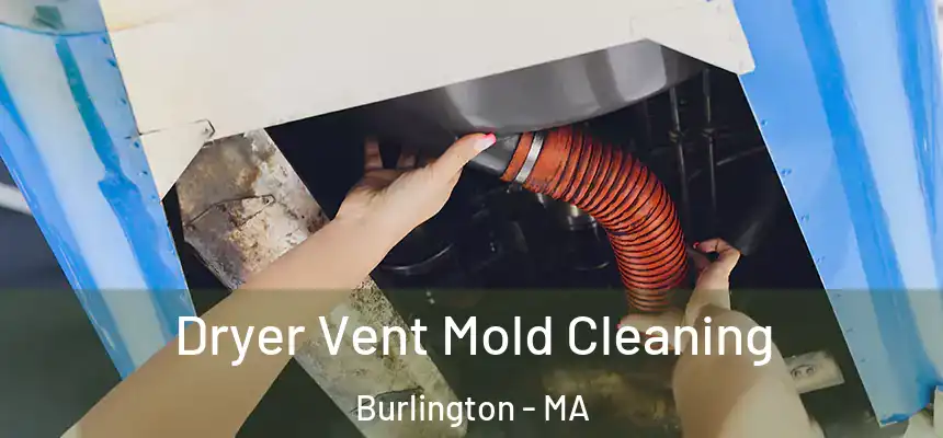 Dryer Vent Mold Cleaning Burlington - MA