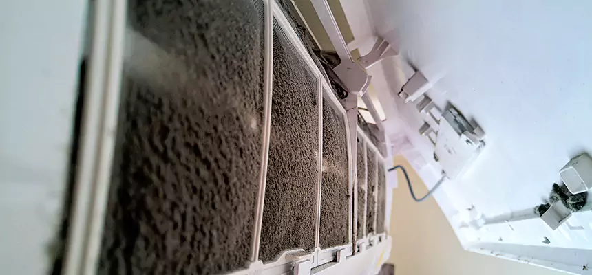 Preventive Air Duct Bacteria Removal in Burlington