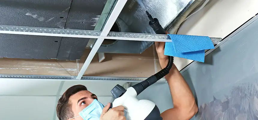 Our Air Duct Rodent Removal Services in Burlington, MA
