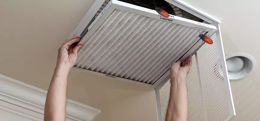 Our Insect Removal from Air Ducts Services in Burlington, MA