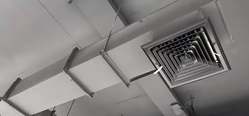 Our Rodent Droppings In Vents Services in Burlington, MA