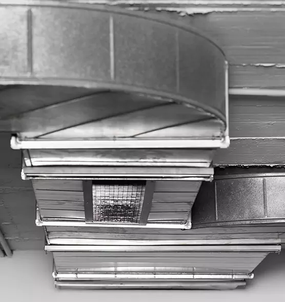 Professional Air Duct Pest Removal in Burlington, MA