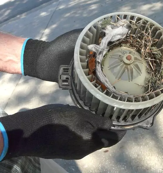 About Air Duct Rat Removal in Burlington, MA