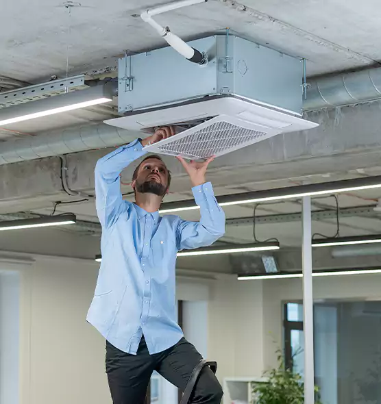 Advanced Rodent Droppings In Vents in Burlington, MA