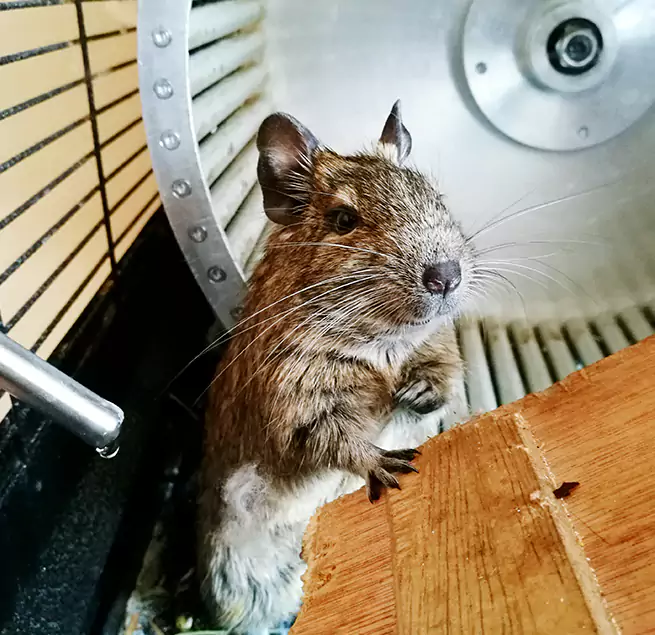 Why Homeowners & Businesses Trust Us Burlington, MA