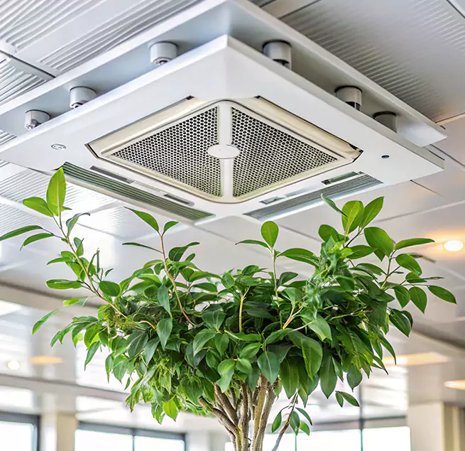 Why Homeowners & Businesses Trust Us in Burlington, MA?