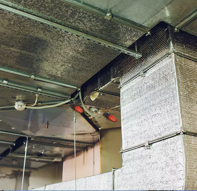 Why Homeowners & Businesses Trust Us Burlington, MA?